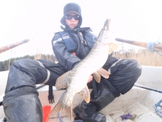 Hauki 4,30 kg