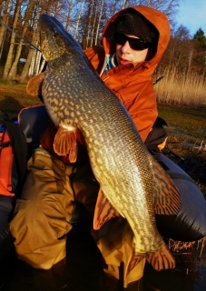 Hauki 11,26 kg