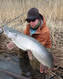 Hauki 8,00 kg