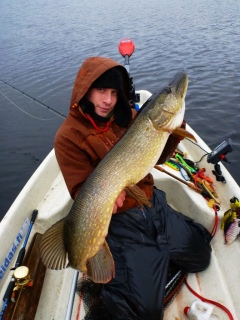 Hauki 7,75 kg