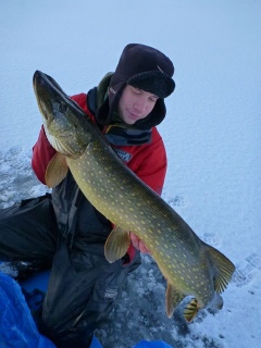 Hauki 7,75 kg