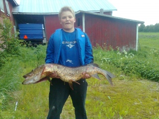 Hauki 7,37 kg