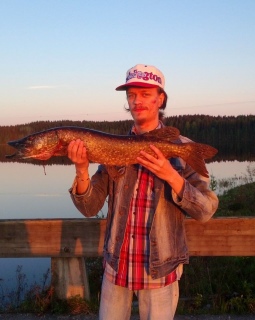 Hauki 3,50 kg