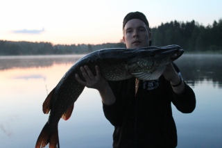 Hauki 7,30 kg