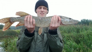Hauki 2,25 kg