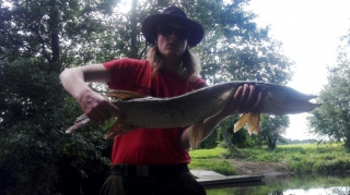 Hauki 6,20 kg
