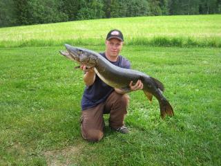Hauki 10,50 kg