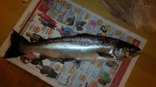 J�rvilohi 1,10 kg