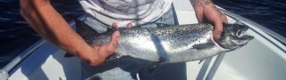 J�rvilohi 2,15 kg