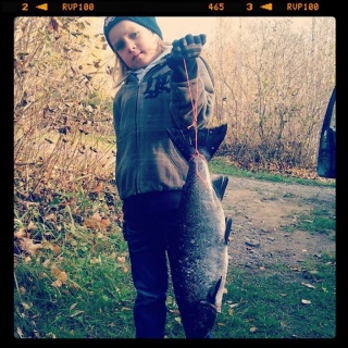 J�rvilohi 2,85 kg