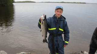 J�rvilohi 2,54 kg
