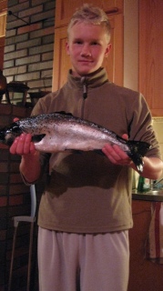 J�rvilohi 1,40 kg