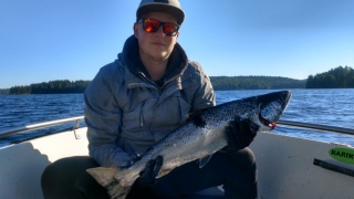 J�rvilohi 2,80 kg