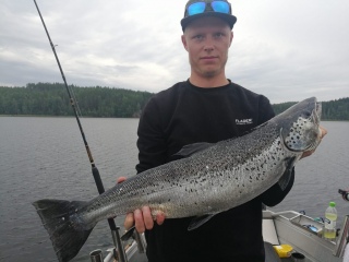 Järvilohi 4,10 kg
