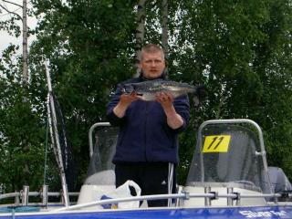 J�rvilohi 2,40 kg