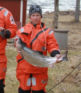 J�rvilohi 4,33 kg