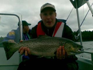 J�rvitaimen 3,40 kg