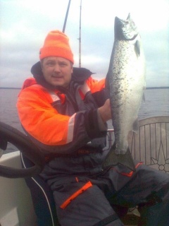 J�rvitaimen 2,50 kg