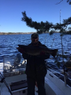 J�rvitaimen 4,13 kg