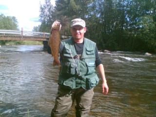 J�rvitaimen 1,34 kg