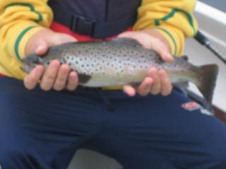 J�rvitaimen 850 g