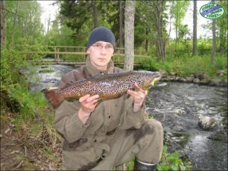 J�rvitaimen 2,40 kg