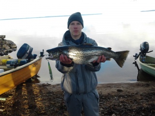 J�rvitaimen 3,34 kg