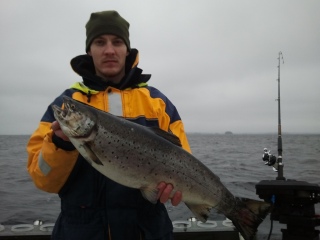 J�rvitaimen 4,23 kg