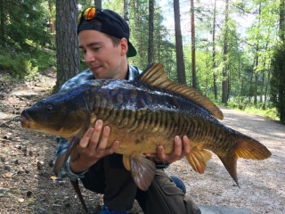 Peilikarppi 7,30 kg