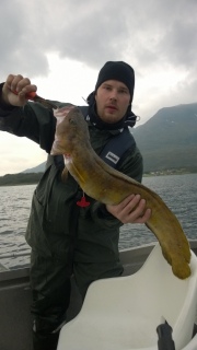 Keila 3,50 kg