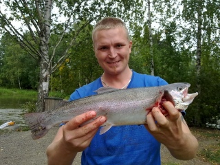 Kirjolohi 1,00 kg