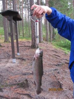 Kirjolohi 1,10 kg