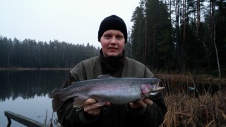 Kirjolohi 1,61 kg