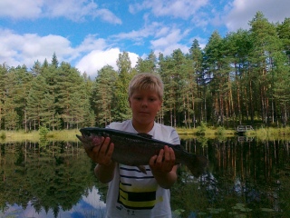 Kirjolohi 1,20 kg