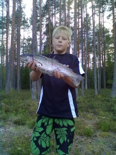 Kirjolohi 1,10 kg
