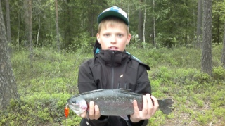Kirjolohi 1,20 kg