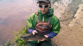 Kirjolohi 950 g