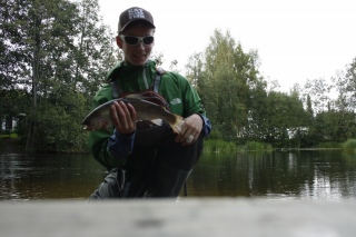 Kirjolohi 1,15 kg