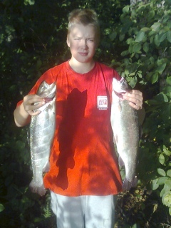 Kirjolohi 2,00 kg