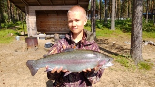 Kirjolohi 2,90 kg