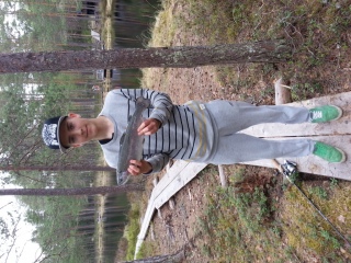 Kirjolohi 1,00 kg