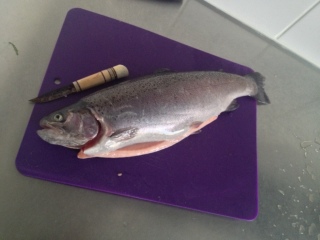 Kirjolohi 1,25 kg