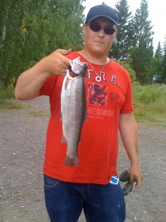 Kirjolohi 1,20 kg