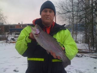Kirjolohi 1,80 kg