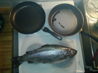 Kirjolohi 2,13 kg
