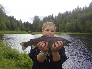 Kirjolohi 1,46 kg