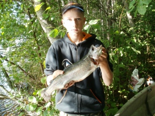 Kirjolohi 1,16 kg