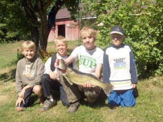Kuha 3,30 kg