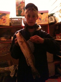 Kuha 2,27 kg