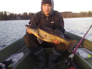 Kuha 3,30 kg